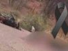 Identifican a los dos jóvenes fallecidos en trágico accidente de motocicleta en Álamos
