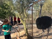 Centro Ecológico de Sonora adelanta horarios por las altas temperaturas
