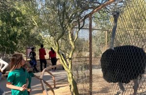 Centro Ecológico de Sonora adelanta horarios por las altas temperaturas