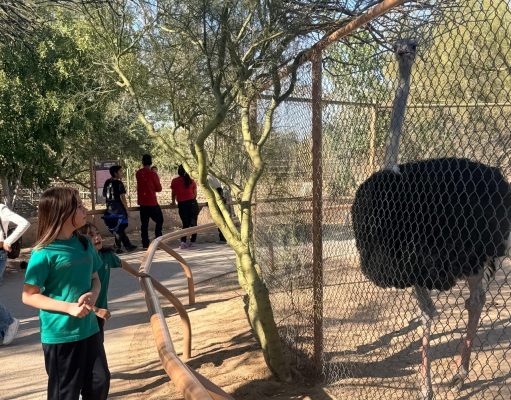 Centro Ecológico de Sonora adelanta horarios por las altas temperaturas
