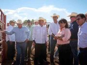 Duplicará Sonora capacidad ganadera en Agua Prieta ante reapertura de frontera