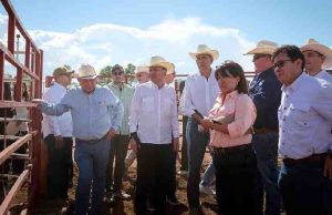 Duplicará Sonora capacidad ganadera en Agua Prieta ante reapertura de frontera