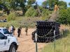 Derriban a La Abuela, un álamo de 200 años por construcción de muro fronterizo